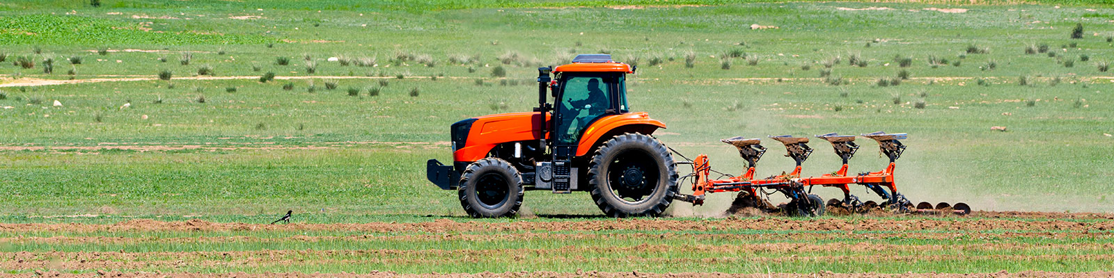 Agriculturalnbanner 农业n横幅